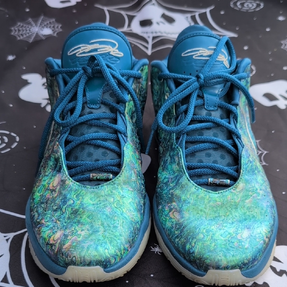 Nike Blue and Green Sneakers LaBron Abalones